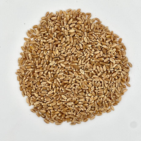 Organic Hard Red Wheat Berries