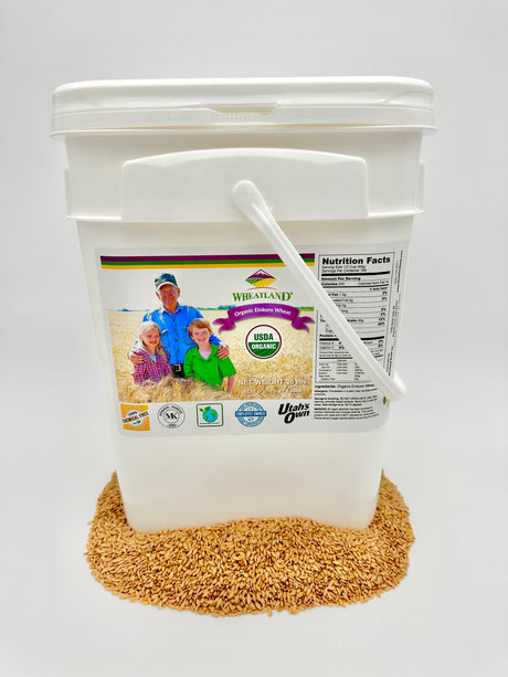 Wheatland Organic Einkorn Wheat Berries in 20 Pound Food Grade Bucket