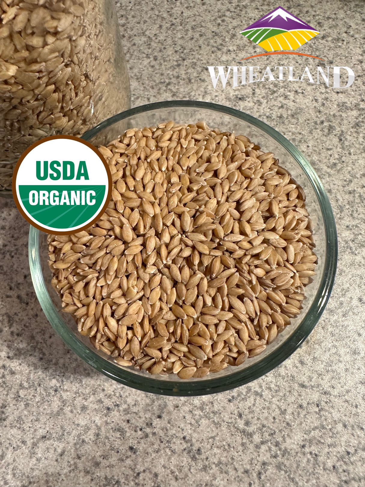 Organic Einkorn Wheat Berries