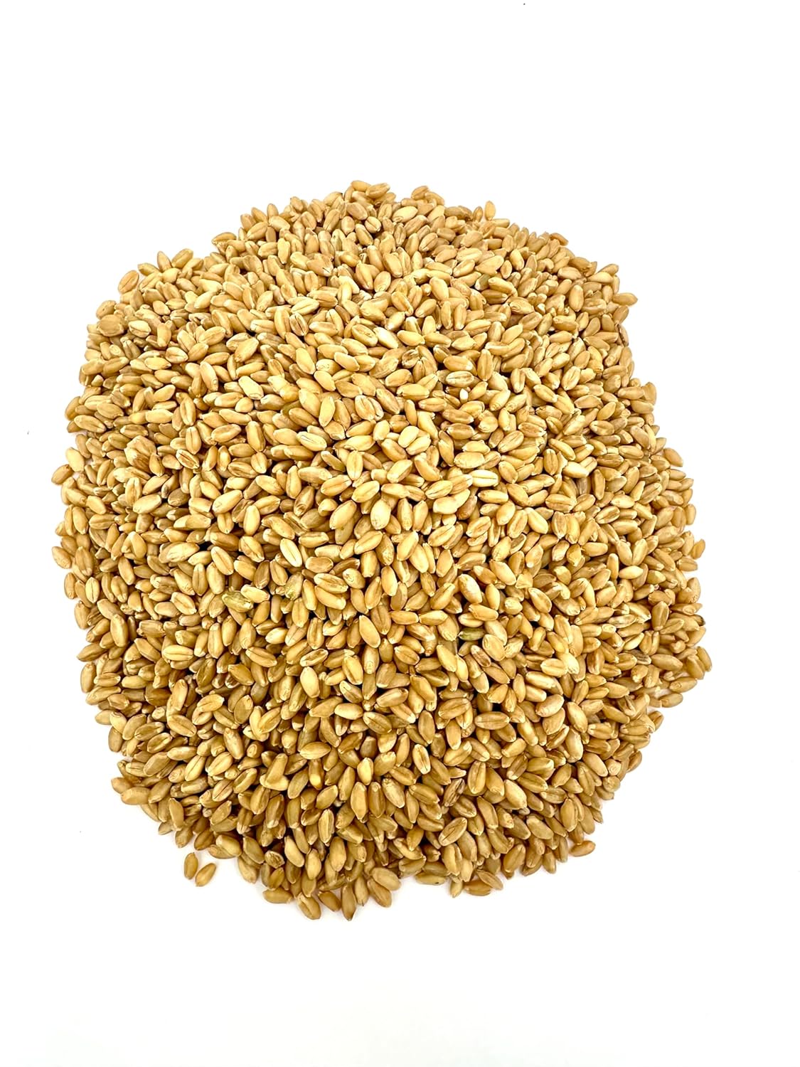 Organic Hard White Wheat Berries