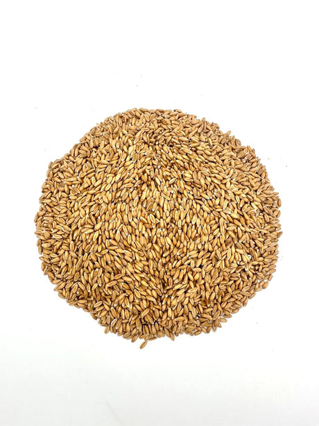 Spelt Berries