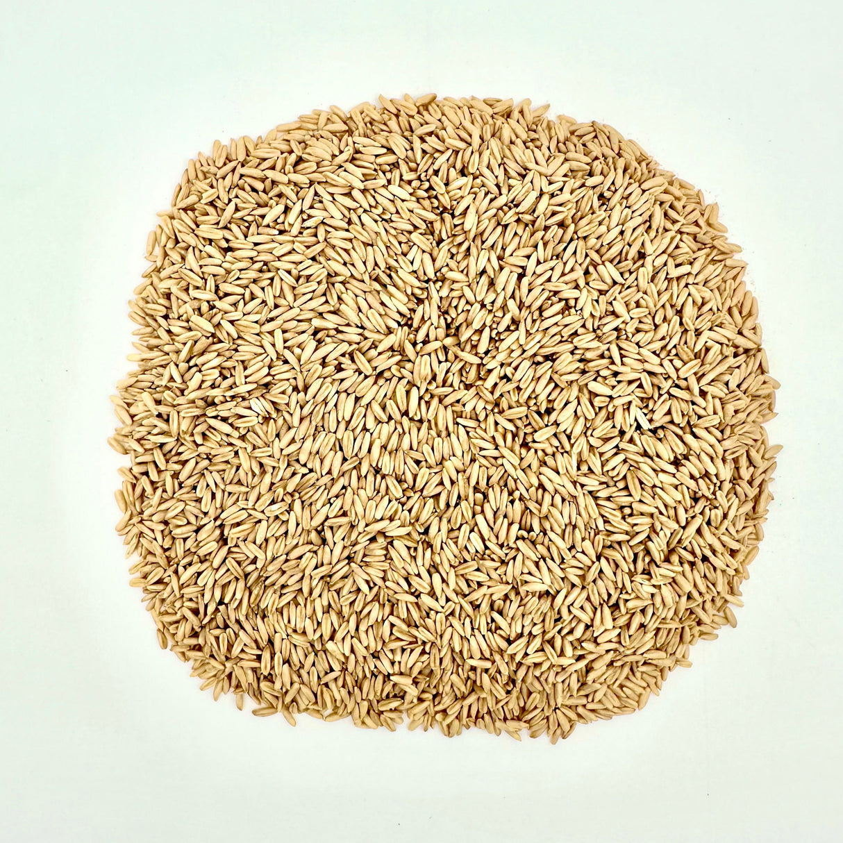 Oat Groats