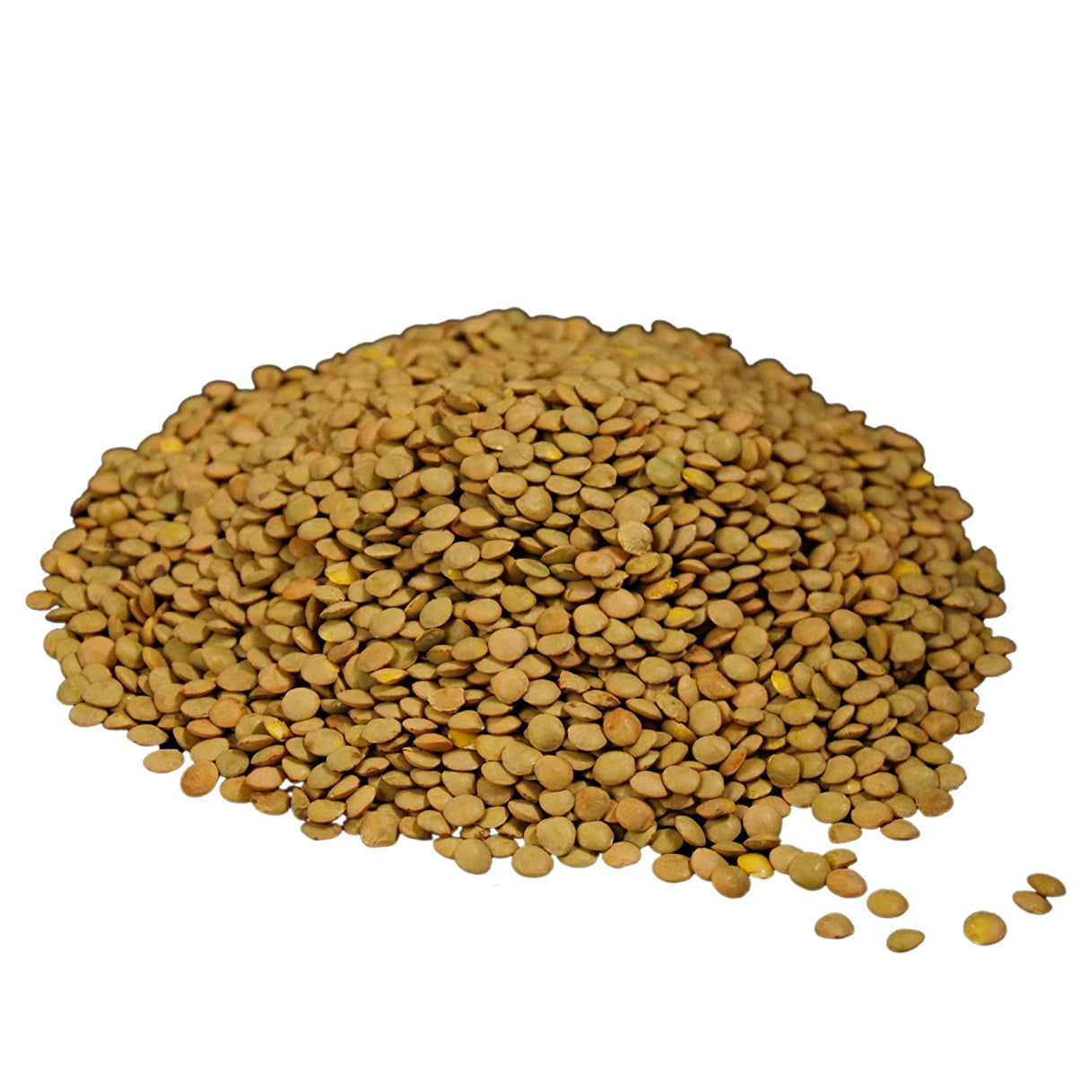 Lentils