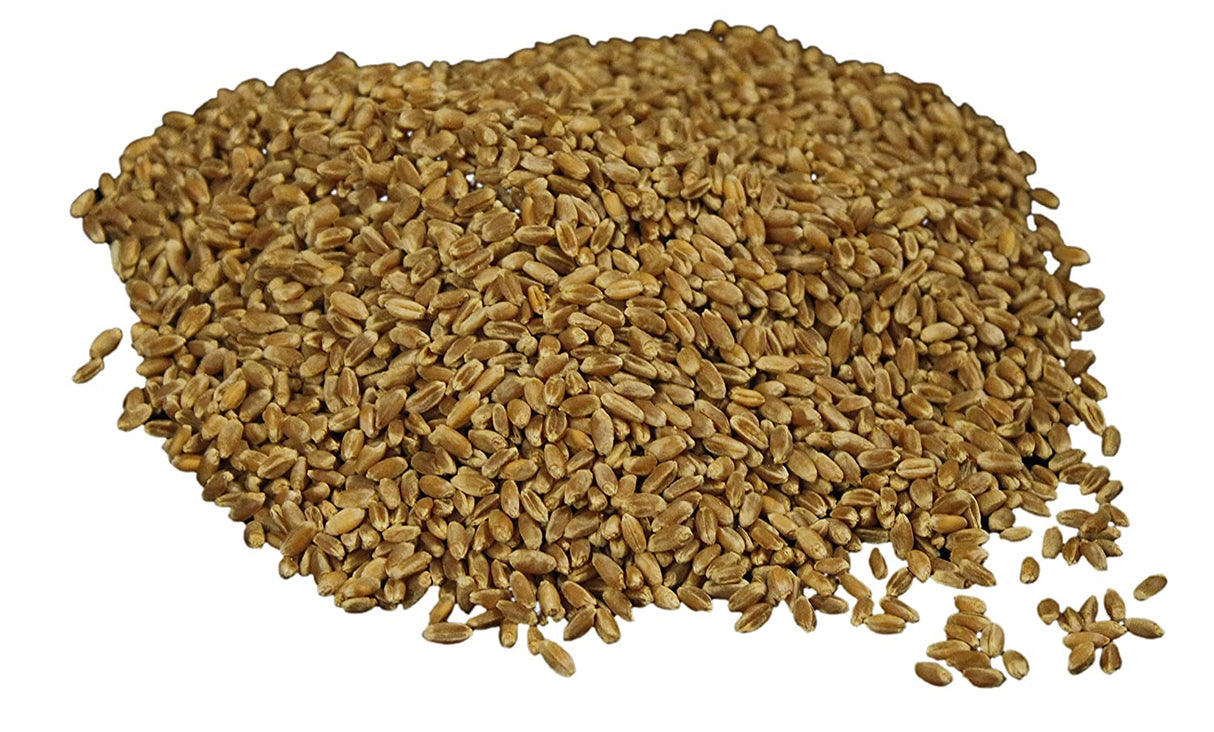 Hard Red Wheat Berries