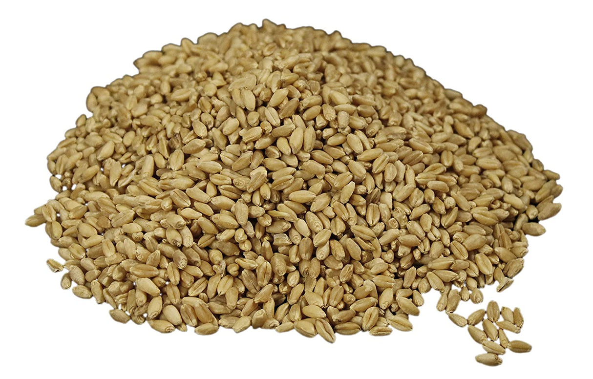 Hard White Wheat Berries
