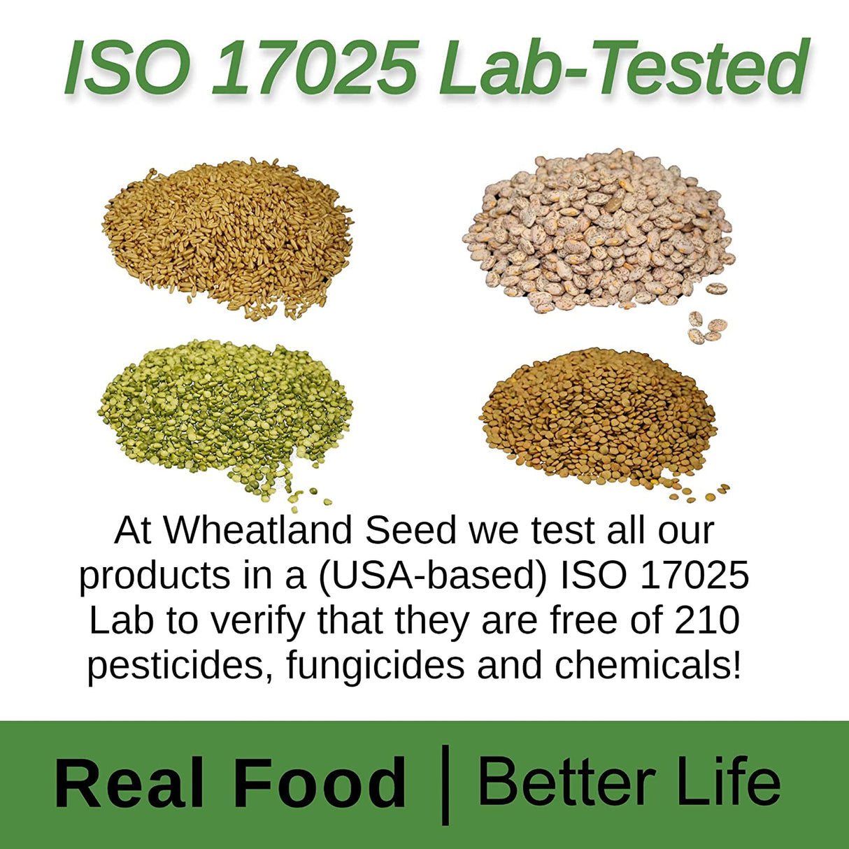 Hard Red Wheat Berries