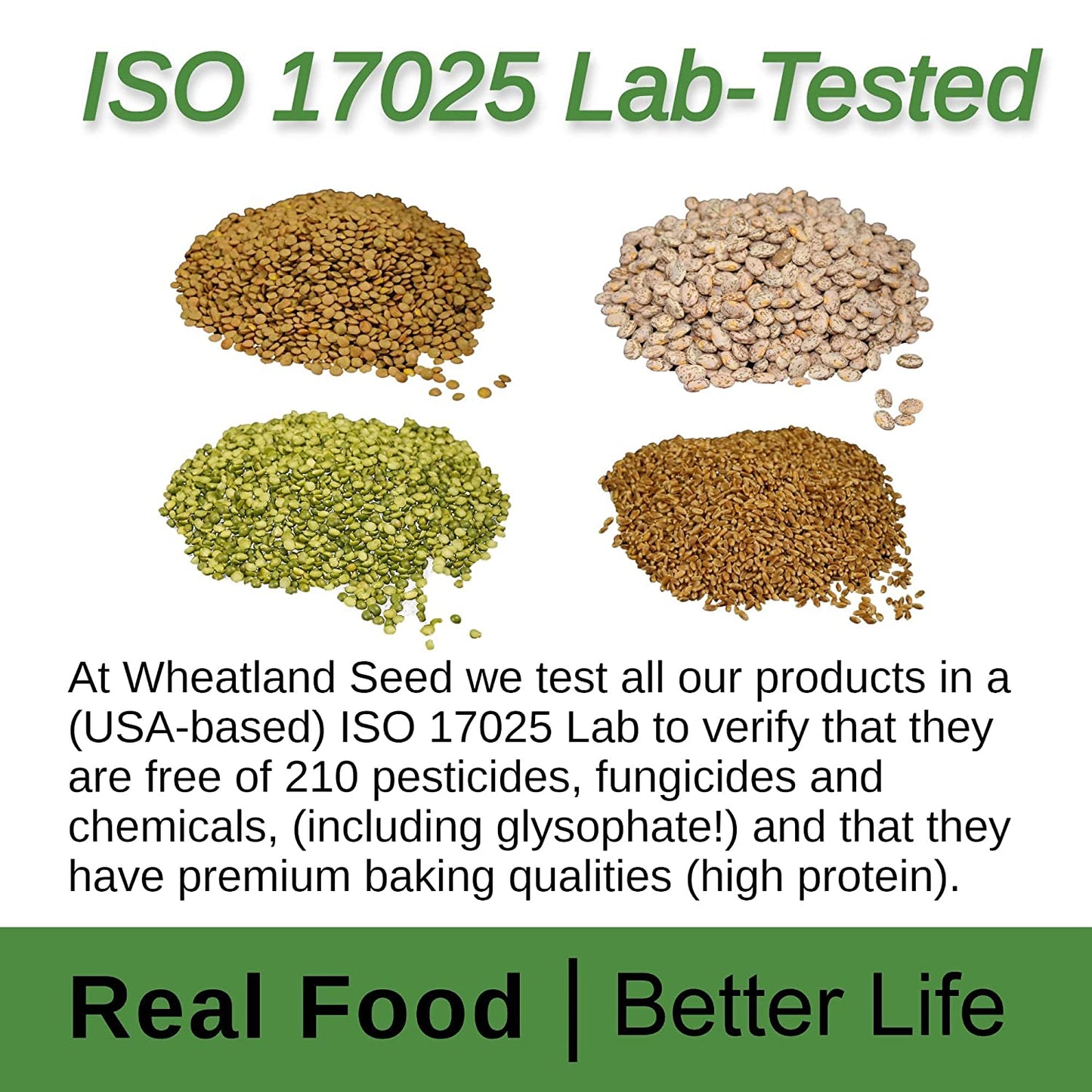 Wheatland™ White Beans • 20lb • Farm Fresh • 25 Year Shelf Life • Lab-tested ISO 17025 Verified Chemical-Free • Never Irradiated, no desiccants and non GMO • High Trust Seller • 40 Year Legacy of Prepping