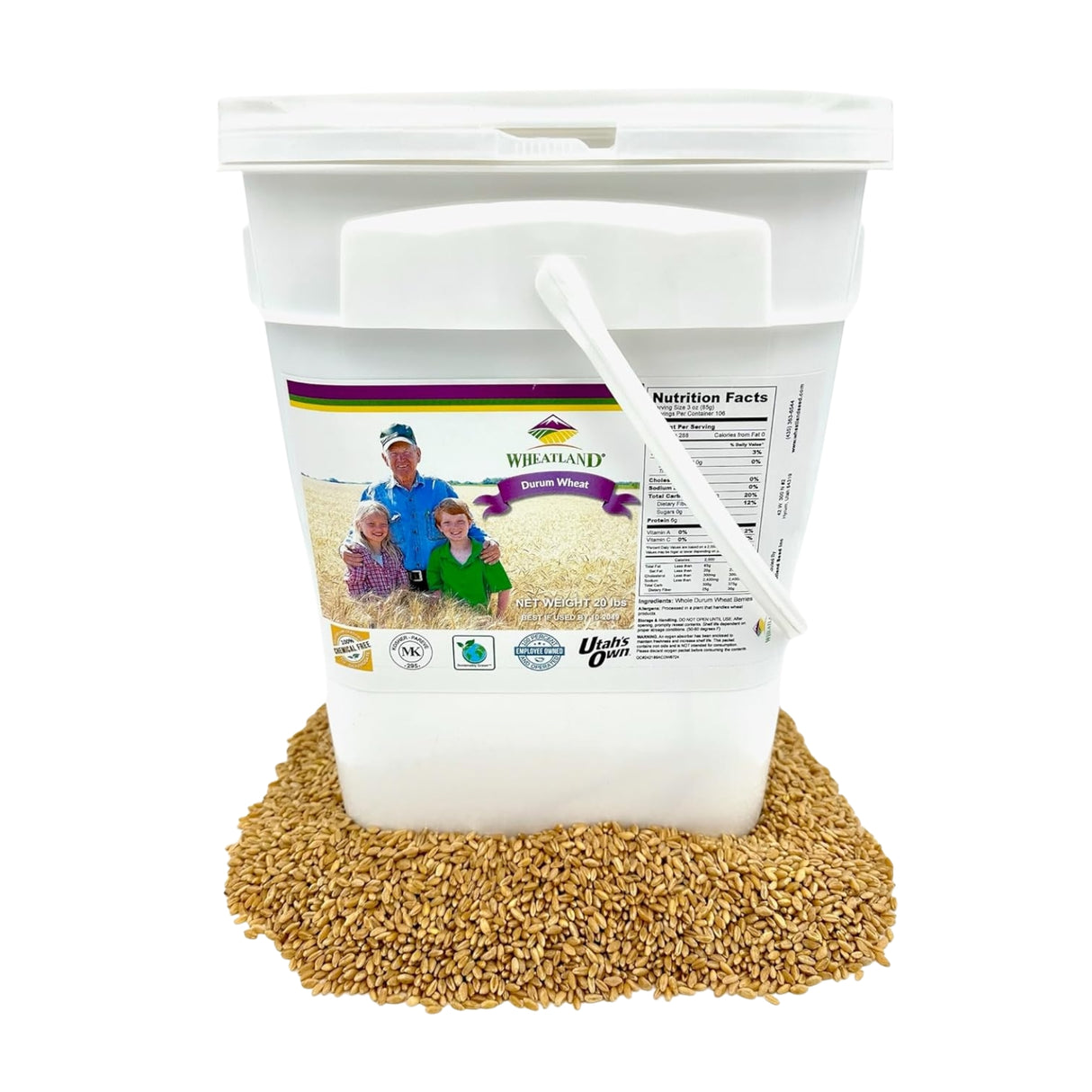 Durum Wheat Berries