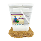Durum Wheat Berries