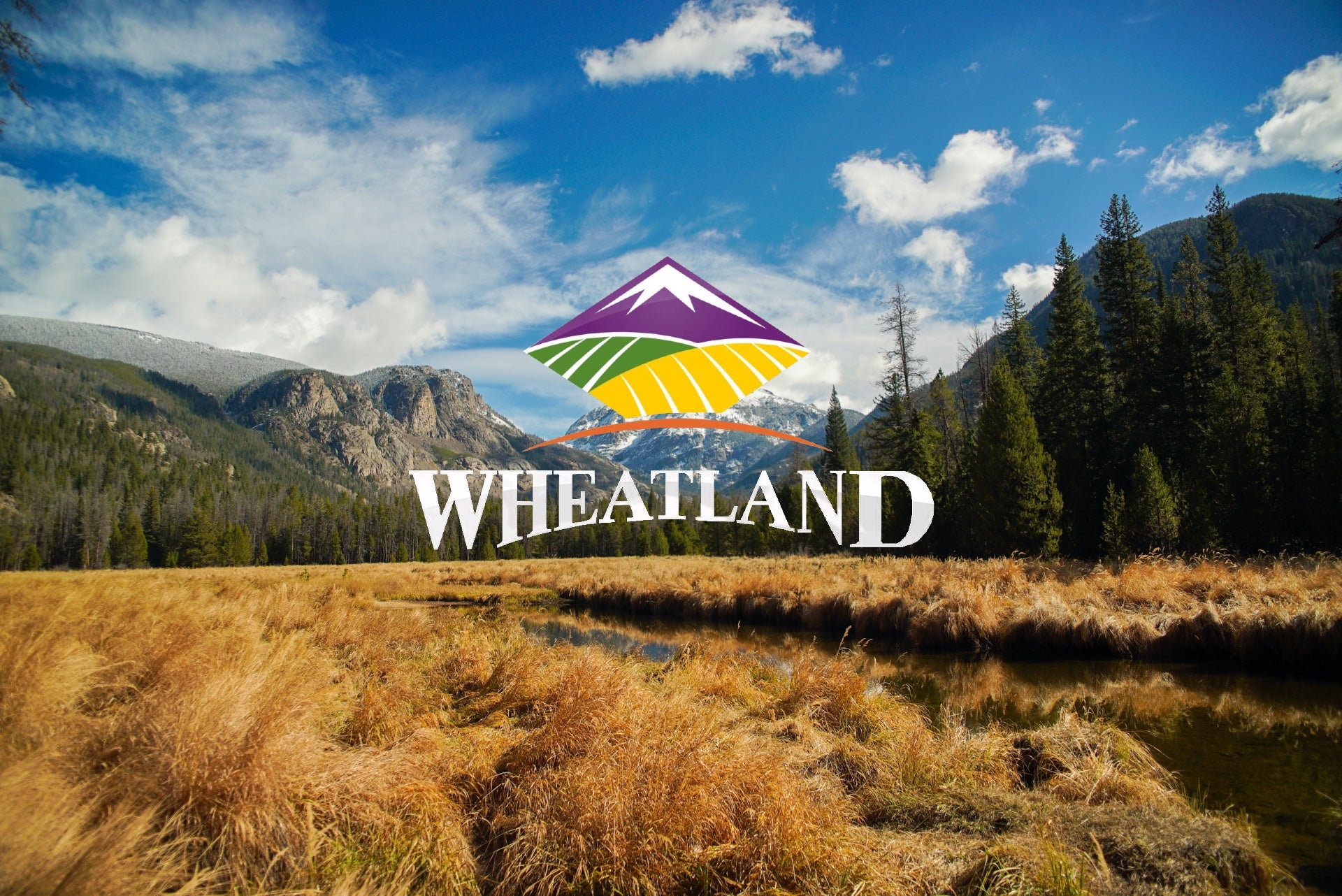 Wheatland Seed Farm Fresh Pantry Staples