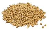 Garbanzo Beans