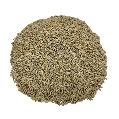 Rye Wheat Berries