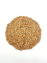 Spelt Berries