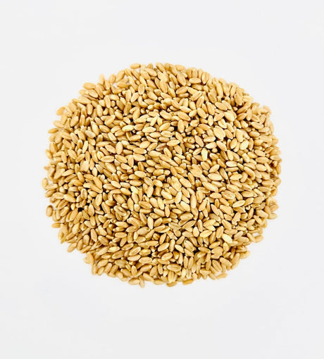 Hard White Wheat Berries