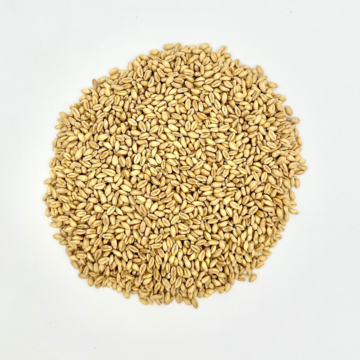 Wheatland™ Soft White Wheat Berries • 23 lbs • Delicious • Healthy Food Option • Farm Fresh • Mylar and Bucket Provide 25 Year Shelf Life • Emergency Food Storage • Non-GMO • Lab Tested Chemical-Free • Premium Baking Quality • Sproutable